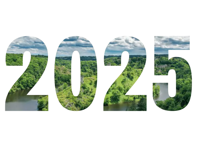 Retrospective 2025