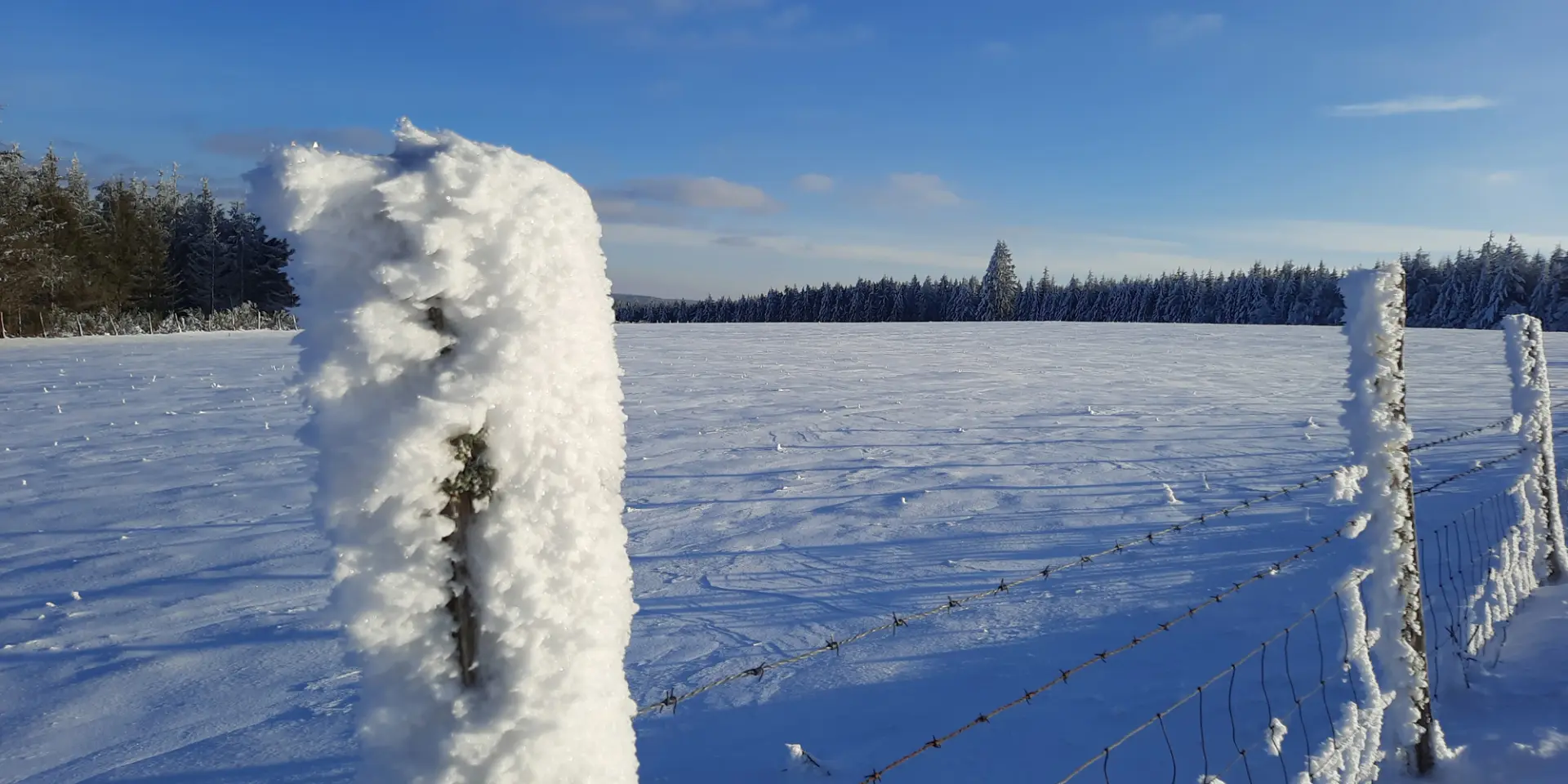 Sw Plateau De Millevaches Hiver 09 Eric Cluzel