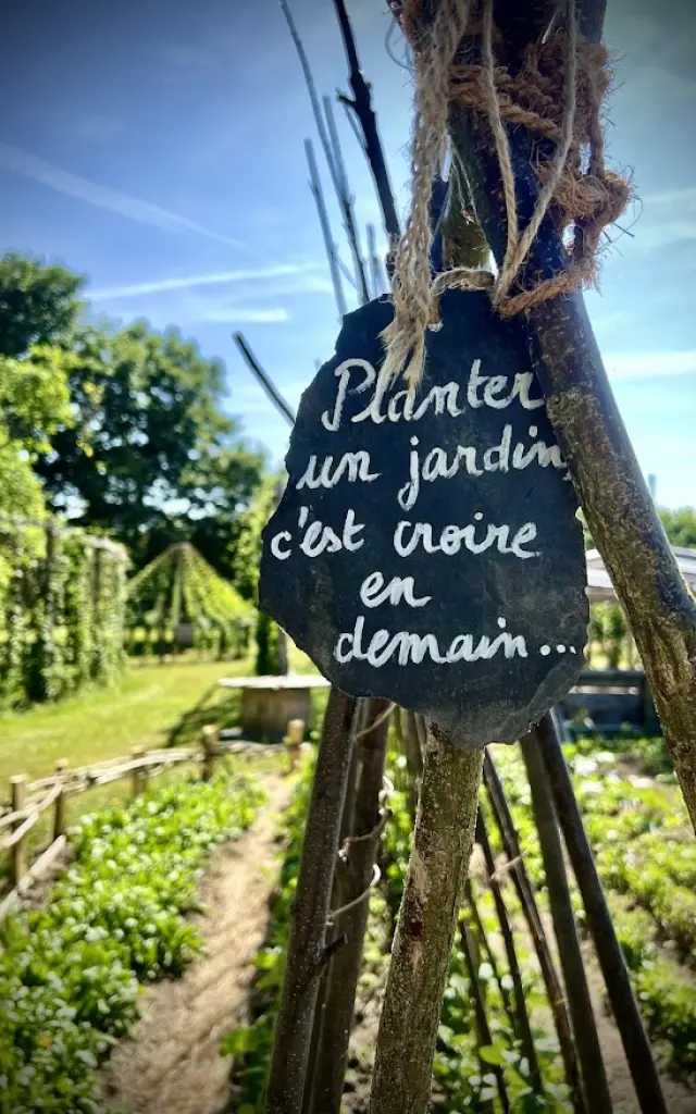 Dame Liane - L'Avalée de la Kreuze