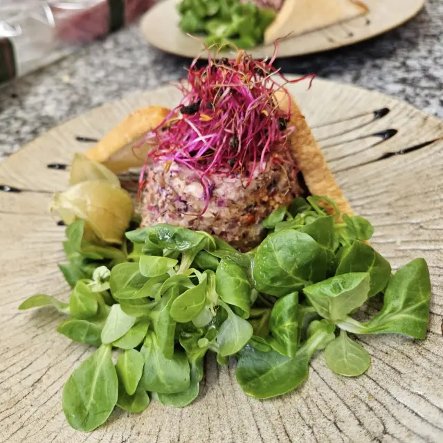 Cheneraille Le Coq Dor Lecoqdor