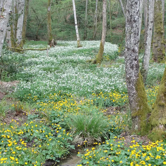 Jardin De Val Maubrune