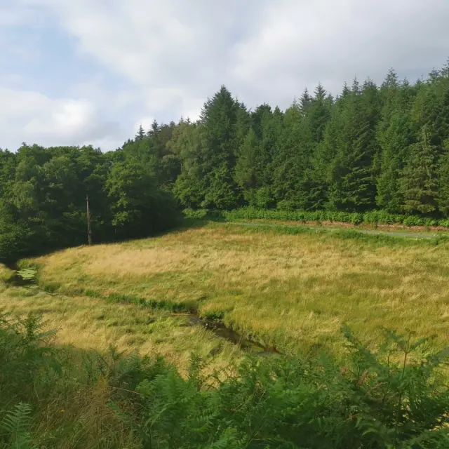 Randonnée Bois des Boeufs Creuse Sud Ouest