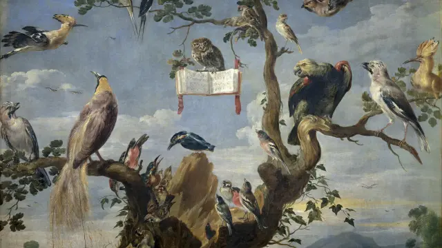 Frans Snyders Concert Doiseaux