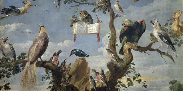 Frans Snyders Concert Doiseaux