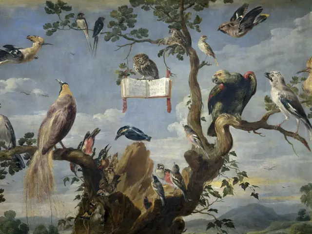 Frans Snyders Concert Doiseaux