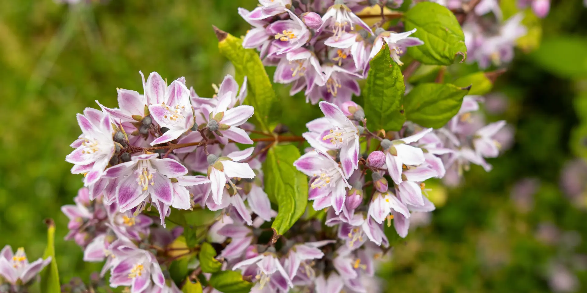 Eductour Mca 2025m.fenille 66