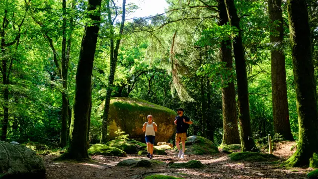 Les Monts de Guéret