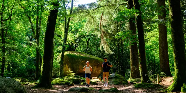 Les Monts de Guéret