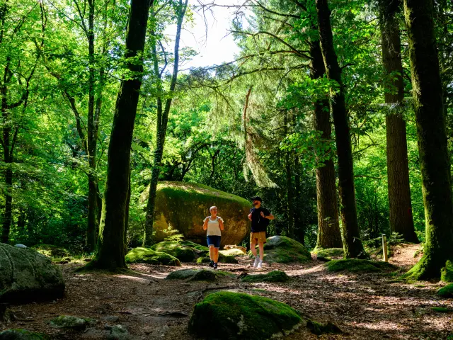 Les Monts de Guéret