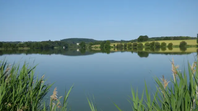 Etang Cazine