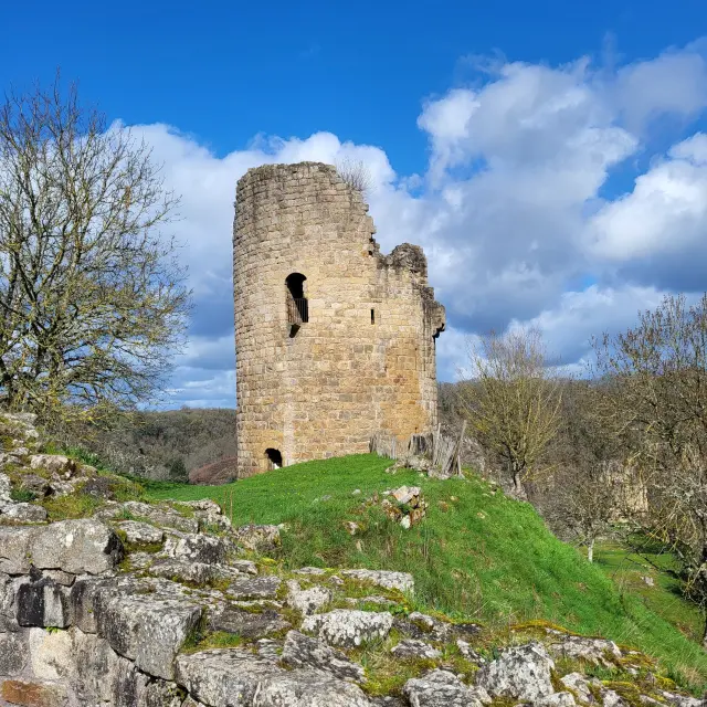 20260312 111836 Rotated