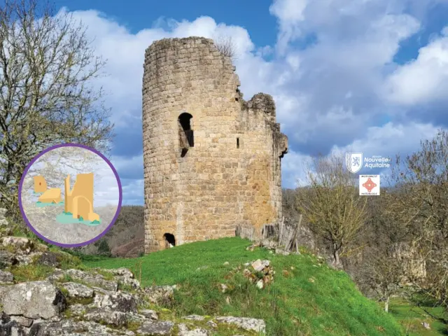 Sites Site Net 26 Fc Bd