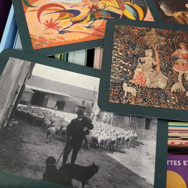 20260206 113913 Rotated