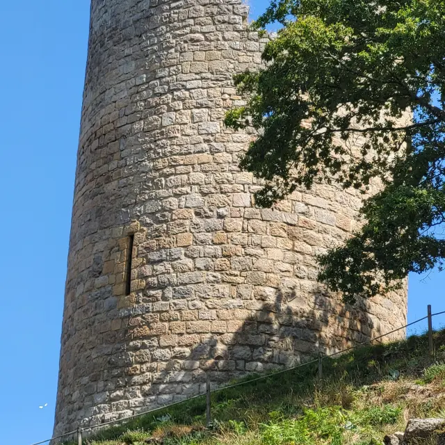 20240826 143032 Rotated