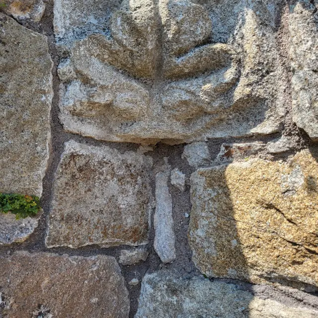 20240826 143916 Rotated