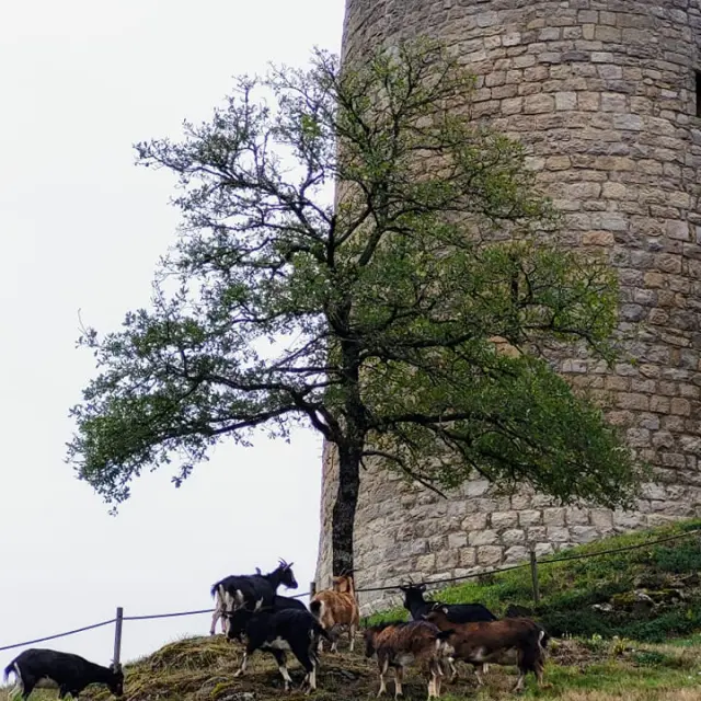 502986907 10228218500354388 3049117866499290665 N