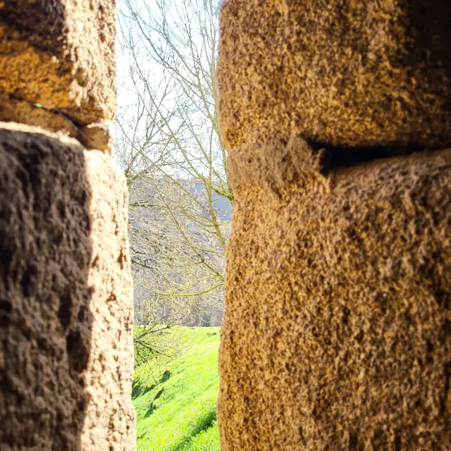 20260312 111930 Rotated