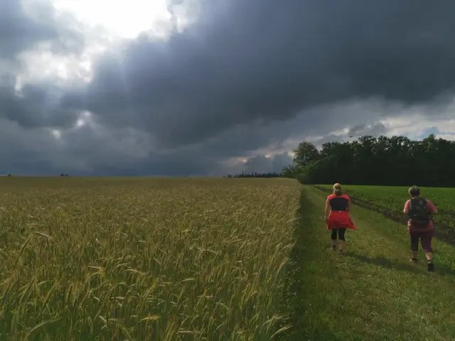 Randonnée en Creuse lors de l'Enjambée Creusoise à Bourganeuf