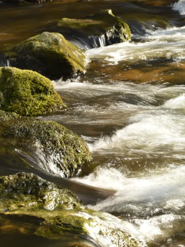 Les gorges du Verger