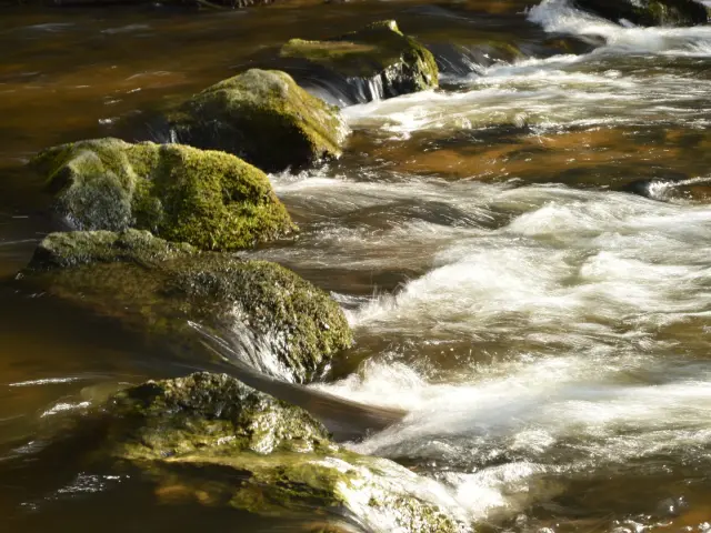 Les gorges du Verger