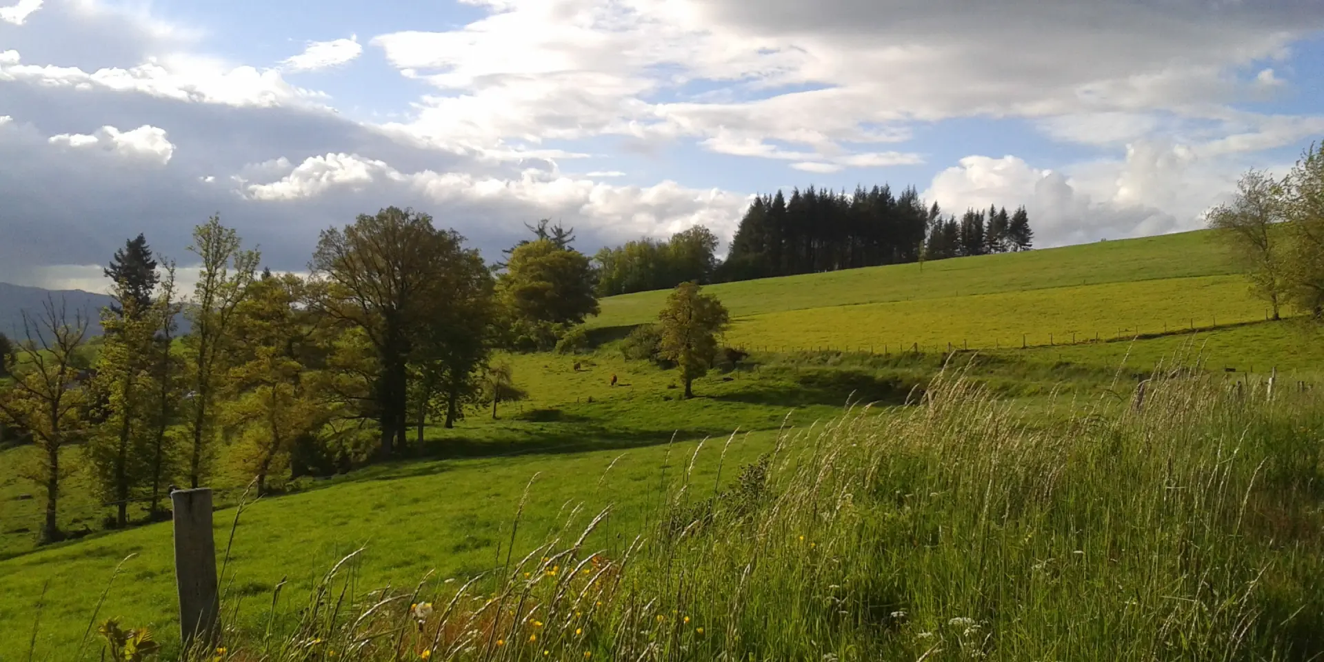 Paysage de printemps en Creuse Sud Ouest