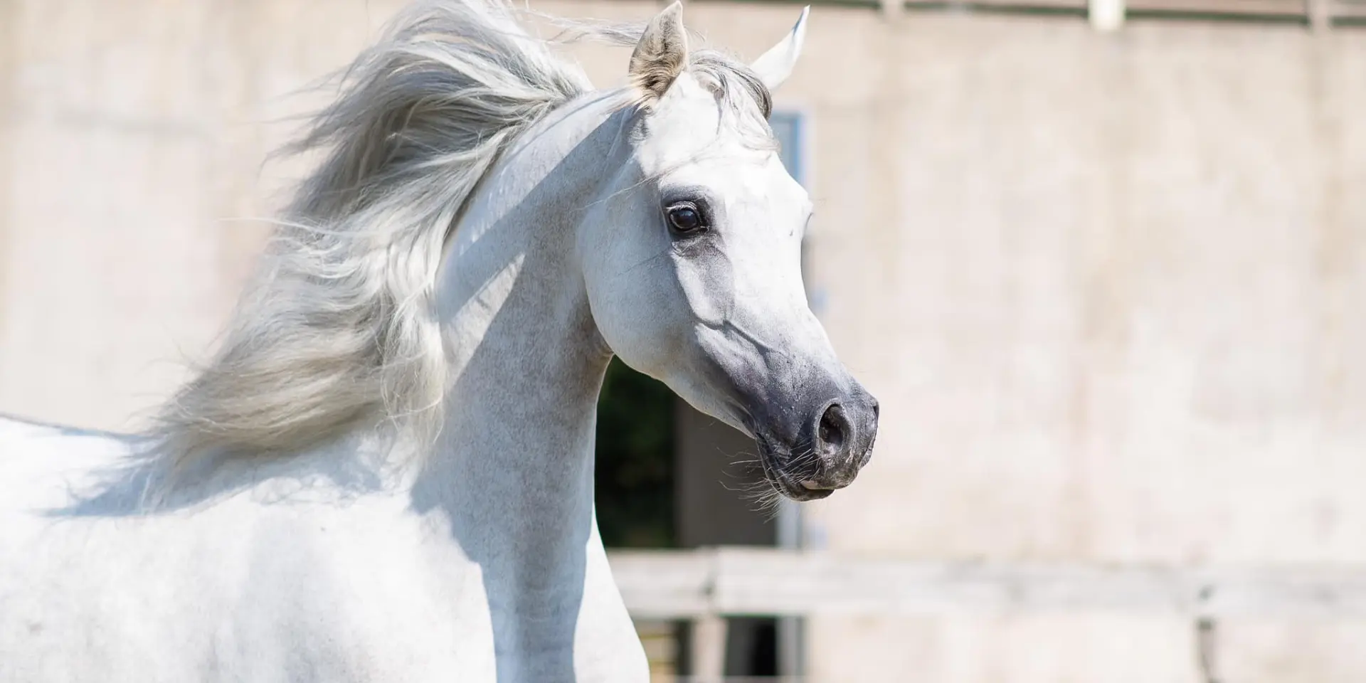 499144399 4113736505619683 4001781647946797731 N