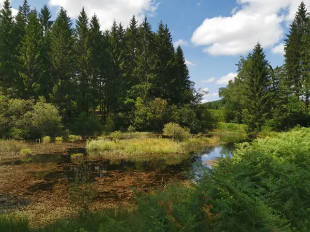 Sentier de grande randonnée en Creuse Sud Ouest