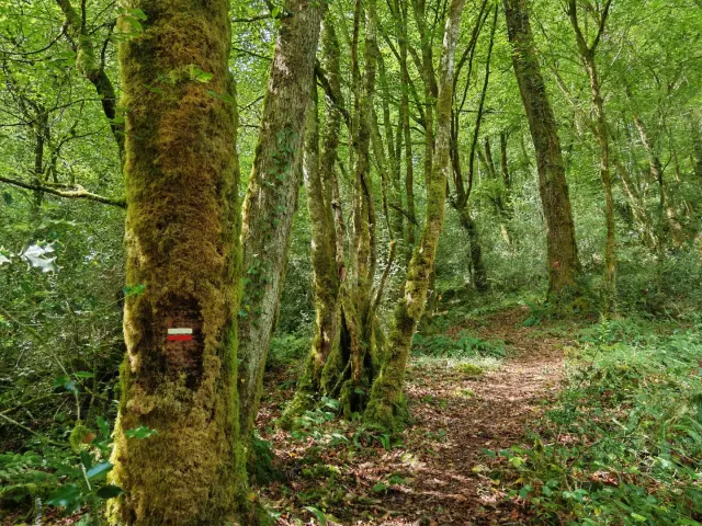 Sentier de grande randonnée en Creuse Sud Ouest