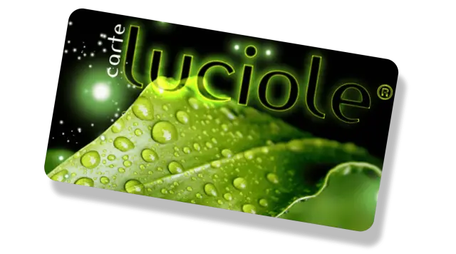 Carte Luciole