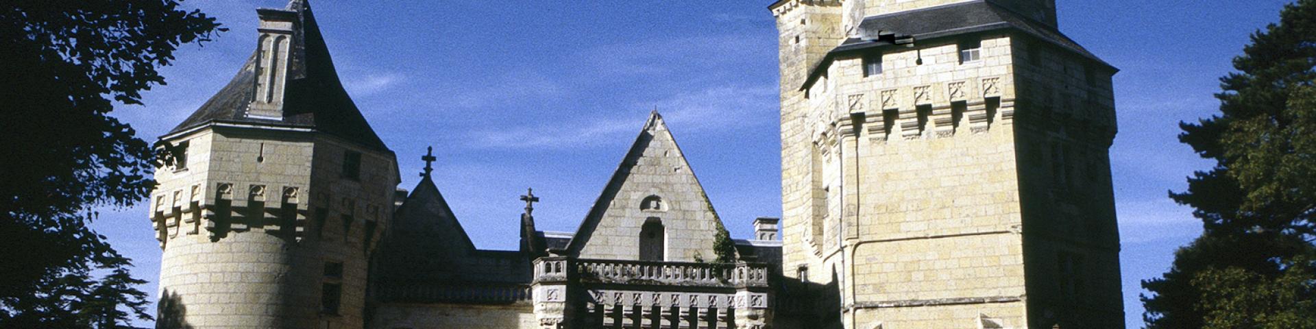 View from Château de Ternay