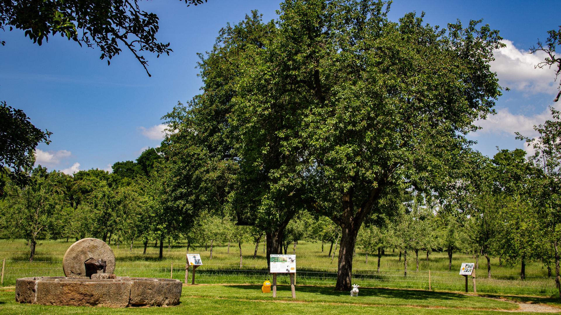 Musee Du Cidre Vallee De Haute Mayenne Lassay Les Chateaux Melleray La Vallee