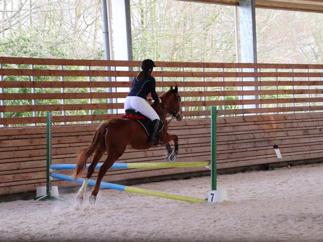 centre-equestre-craon-013.jpg