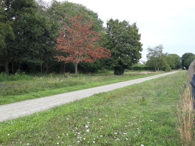 centre-equestre-craon-014.jpg
