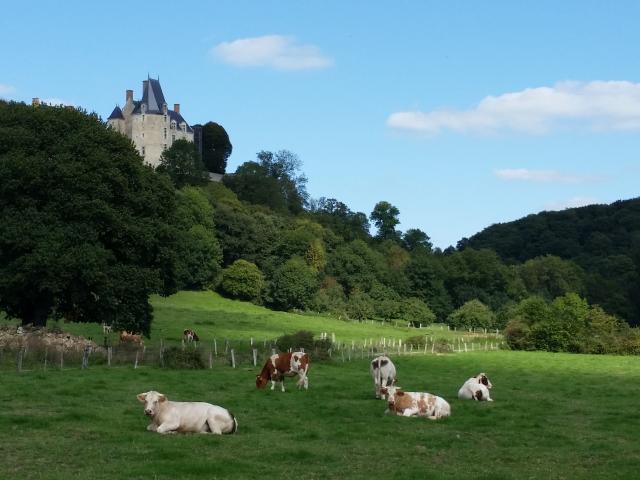 Paysage Sainte Suzanne