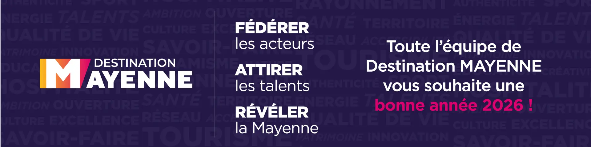 Bonne Annee Banniere Web Pro