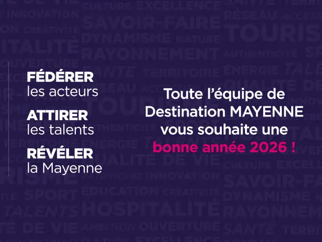 Bonne Annee Banniere Web Pro