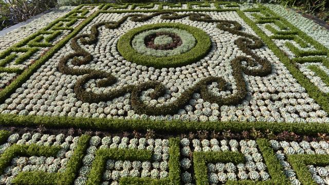 Mosaïculture - Château-Gontier-sur-Mayenne