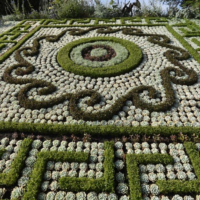 Mosaïculture - Château-Gontier-sur-Mayenne