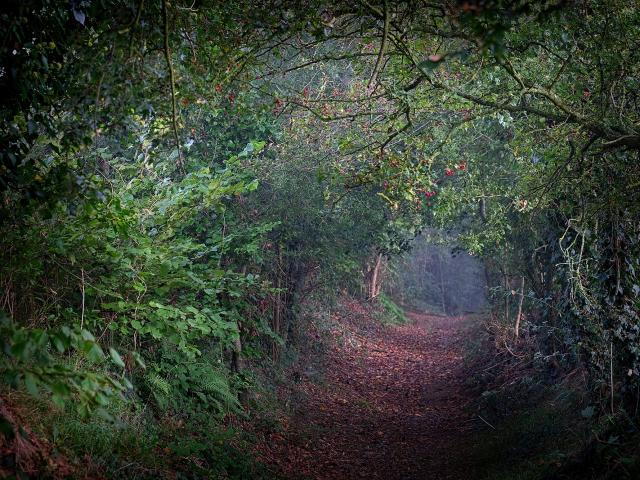 Saint-Calais-du-Désert