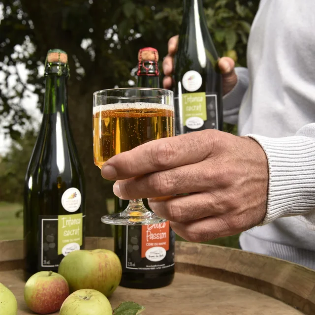 Production De Cidre - Ferme du theil à Andouillé