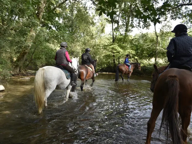 Randonnée à cheval - Ferme du Chemin à Madré