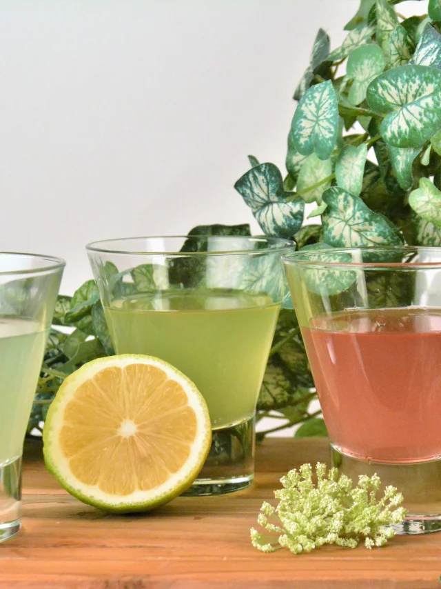 L'Atelier du Ferment