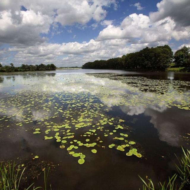 Etang Neuf de Juvigné