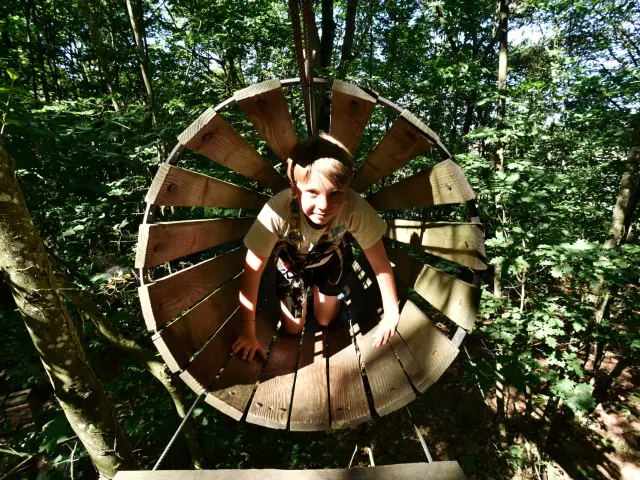 Parcours Accrobranche Au Bois A Force