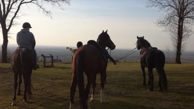 Balade A Cheval Montaigue Mayenne