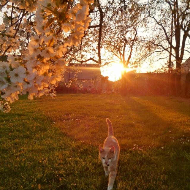 Instagram #mayenne