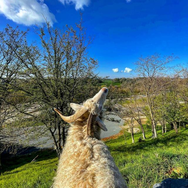 Instagram #mayennetourisme