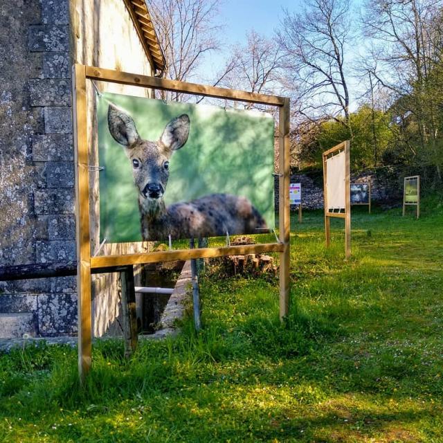 Instagram #mayenne