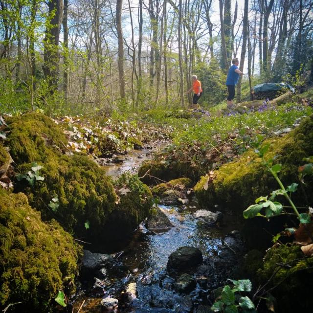 Instagram #mayenne