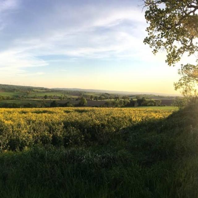 Instagram #mayenne